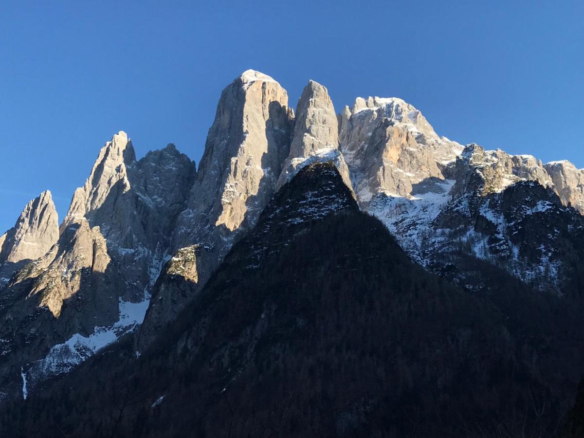 Апартаменты The Bijoux - Dolomites Агордо Экстерьер фото